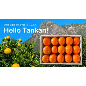 【ふるさと納税】【相良パーティ】『ハローたんかん』屋久島産【Lサイズ3kg】 | フルーツ 果物 くだもの 食品 人気 おすすめ 送料無料