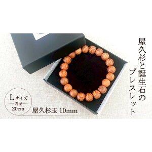 �y�ӂ邳�Ɣ[�Łz���v��10mm�ʃu���X���b�g�y20cm (L)�z