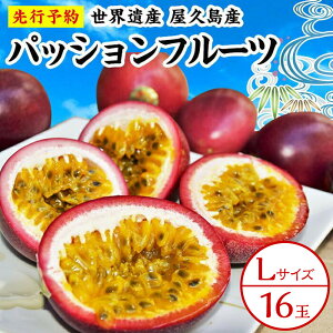 yӂ邳Ɣ[Łzy2026NstzipbVt[cL(16)gv̌b݁hƁgh߂āI | 1.5kgȏ  v v ӂ邳 [  n t[c