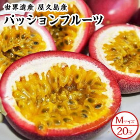 【ふるさと納税】【2026年発送先行受付】絶品パッションフルーツM玉(20玉)“屋久島の恵み”と“愛情”込めて！ | 鹿児島 屋久島町 お取り寄せ ご当地 パッションフルーツ フルーツ 果物 くだもの 先行受付 先行予約 期間限定 数量限定