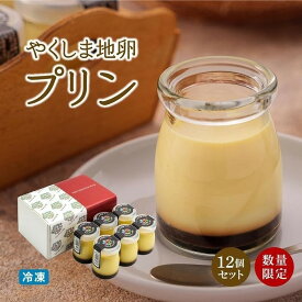 【ふるさと納税】【ギフト用】【数量限定】やくしま地卵冷凍プリン 12個セット