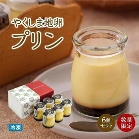 【ふるさと納税】【ギフト用】【数量限定】やくしま地卵冷凍プリン 6個セット