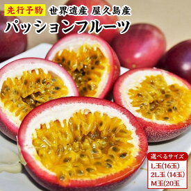 【ふるさと納税】絶品パッションフルーツ M玉(20玉)～2L玉(14玉)【容量が選べる】【2027年発送先行受付】“屋久島の恵み”と“愛情”込めて！ | 鹿児島 屋久島 屋久島町 ふるさと 納税 お取り寄せ ご当地 フルーツ 果物 くだもの