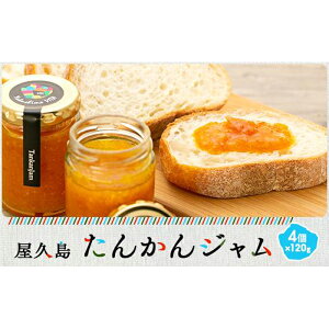 yӂ邳Ɣ[Łzv񂩂W4Zbg