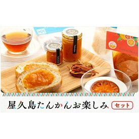 【ふるさと納税】屋久島たんかんお楽しみセット