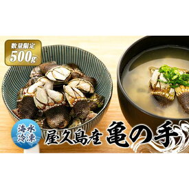 【ふるさと納税】【数量限定】屋久島産「亀の手」500g【海水で冷凍】