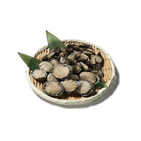 【ふるさと納税】【数量限定】屋久島産「亀の手250g」と「いそもん250g」セット【海水で冷凍】