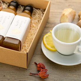 楽天市場 ジンジャーシロップの通販