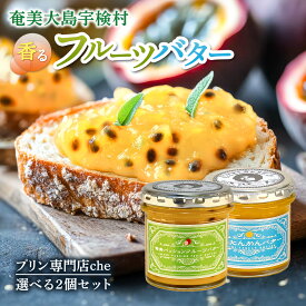 【ふるさと納税】選べる 奄美たんかんバター ・ パッションバター ( 2個セット 240g) プリン 専門店 che 奄美 大島 宇検村 鹿児島県 国産 たんかん パッションフルーツ 朝食 無添加 国産 厳選素材 スプレッド リリコイ バター トッピング ハワイアン 送料無料 みかん
