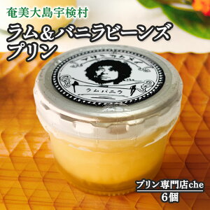 【ふるさと納税】ラム&バニラビーンズ プリン (選べる個数 4個 6個 セット) プリン 専門店che 冷凍 ラム酒 バニラ 素材 こだわり 安心 安全 奄美 大島 宇検村 鹿児島県 お取り寄せ スイーツ高