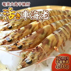 yӂ邳Ɣ[Łz  ԊCV 400g y12`1 sD\ Ԍ z 퉷 ܂ NxQ I ӂ邳Ɣ[  lC 哇 F Gr hg Ă CN  C