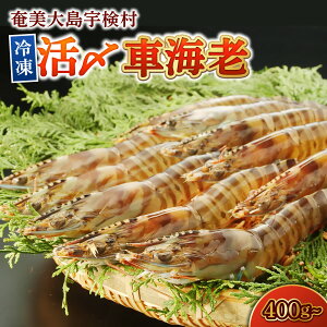 yӂ邳Ɣ[ŁzYԊCV ⓀԊCV ԃGr Ԃ (Iׂe)   哇  F uԗⓀ }Ⓚ VN Mp ԃGr  o[xL[ BBQ Hi CN C