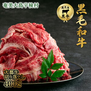yӂ邳Ɣ[Łzјa ؂藎Ƃi400gjyʌz s 哇 F  uh s   r[t Ԑg ^pN oY \ Ⓚ Y 