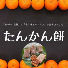 【ふるさと納税】宇検村産たんかん100％使用「たんかん餅」(15個入り×6パック)