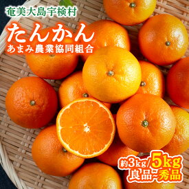【ふるさと納税】【予約受付 数量限定 2026年2月～発送分】奄美 たんかん 3-5kg L 2L サイズ 秀品 優品 良品 タンカン 柑橘 みかん ミカン 奄美 奄美大島 宇検村 国産 光センサー 果物 奄美のみかん 数量 期間 限定 鹿児島 プレゼント ギフト 家庭用