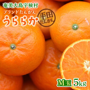 yӂ邳Ɣ[Łzy2026N ʌ \zn uh 񂩂 M 5kg Di Ǖi k ݂  F 哇Y ZT[ ʕ ݂̂ I x10xȏ Â  