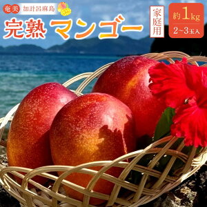 yӂ邳Ɣ[Łzy2026Ns\z vC n}S[ ƒp 1kgi2`3ʓjϔ | }S[ n }S[ t[c 썑t[c }S[ 哇 vCY 