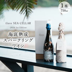 yӂ邳Ɣ[Łztlass SEA CELLAR -2024 1st Edition- CnXp[NOC 750ml×1{ | C Xp[NOC h  AR[ r lC 哇