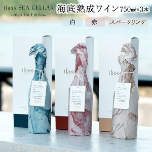 yӂ邳Ɣ[Łztlass SEA CELLAR -2024 1st Edition- CnC EԁEXp[NO 750ml×3{Zbg | C C ԃC Xp[NOC h  AR[ r lC 