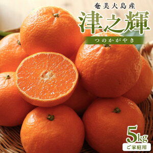 yӂ邳Ɣ[Łz哇Y@ÔVP 5kg ƒp12{蔭