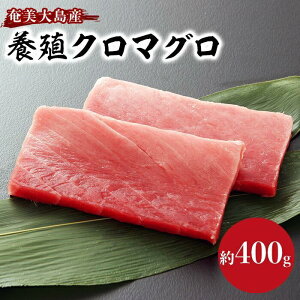 yӂ邳Ɣ[Łz哇Y{BN}O 2Zbg 400gȏ g Ԑg Ⓚ | }O  g Ԑg 400g 2 hg {B N}O CN 芪i  CN   O