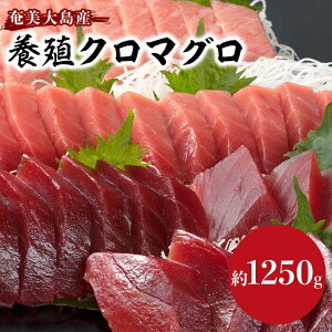 yӂ邳Ɣ[Łz哇Y{BN}O 1,250gȏ ܂邲ƖiZbg 5P g g Ԑg  zz̐g e Ⓚ |  1,250g 5 hg {B CN 芪i CN  