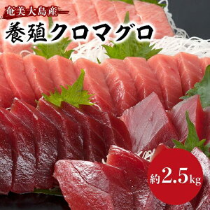 yӂ邳Ɣ[Łz哇Y{BN}O 2.5kgȏ ܂邲ƖiZbg 11P g g Ԑg  zz̐g e Ⓚ |  2.5kg hg {B CN    O M