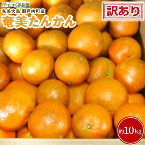 yӂ邳Ɣ[Łzy2026N2ȍ~z󂠂 񂩂 ƒp10kgʌ^s\ | 10kg  哇 񂩂 t[c ʕ Ԍ ˓   B 