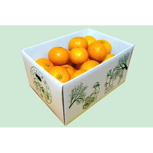 【ふるさと納税】【2026年発送分 先行受付】たんかん ご家庭用バラ詰め5kg【たけはら農園】 | 鹿児島県 鹿児島 瀬戸内町 九州 奄美大島 奄美 楽天ふるさと 納税 特産品 名産品 お取り寄せ ご