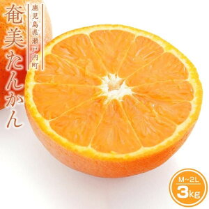 yӂ邳Ɣ[Łzy2026N s\zx_̉񂩂 3kg | ʕ t[c s\ ʌ   哇 ˓   B  