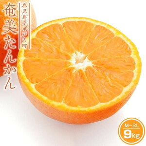 yӂ邳Ɣ[Łzy2026N s\zx_̉񂩂 9kgi3kg×3j | ʕ t[c s\ ʌ   哇 ˓   B  