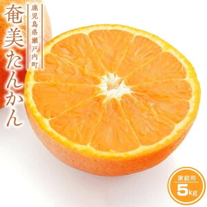 yӂ邳Ɣ[Łzy2026N s\zx_ 󂠂 񂩂 5kg ƒp | 킯 t[c  ʕ  哇 ˓  B  Y  