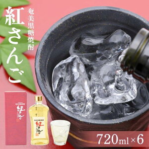 yӂ邳Ɣ[ŁzĒ g 720ml×6{  Ē Mtg 哇 yY |  Ē  AR[ 