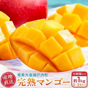 yӂ邳Ɣ[Łzy2026N s\zn}S[ ϔ 1kg(2`3ʓ) _ƒI |   ˓ B 哇  t[c ʕ  }S[ 썑t[c 