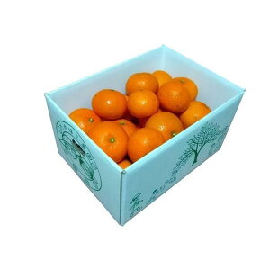 【ふるさと納税】【2026年発送分 先行受付】たんかん ご家庭用バラ詰め3kg【たけはら農園】 | 鹿児島県 鹿児島 瀬戸内町 九州 奄美大島 奄美 楽天ふるさと 納税 特産品 名産品 お取り寄せ ご