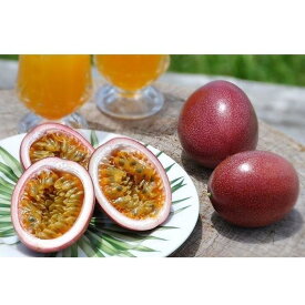 【ふるさと納税】【2027年発送分 先行受付】パッションフルーツ バラ詰め4.5kg【たけはら農園】 | パッションフルーツ, 果物, 化粧箱, 南国フルーツ,季節限定,ジューシー,フレッシュ,果実, 詰合せ,鹿児島県,奄美大島