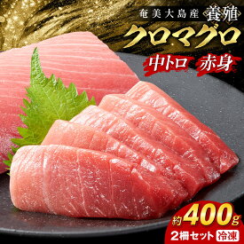 【ふるさと納税】クロマグロ 2柵セット 400g以上 中トロ 赤身 奄美大島産 養殖 冷凍 | クロマグロ 黒マグロ マグロ マグロ マグロ マグロ マグロ 中トロ 赤身 約400g 2柵 刺身 養殖 クロマグロ 海鮮丼 手巻き寿司