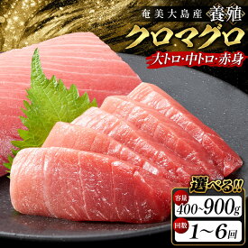 【ふるさと納税】【内容量、お届け回数が選べる】奄美大島産養殖クロマグロ 2柵セット400g以上(1回のみ)～4柵セット900g以上(6回定期便) | クロマグロ 黒マグロ 赤身 刺身 養殖 クロマグロ 海鮮丼 手巻き寿司