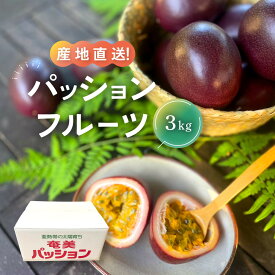 【ふるさと納税】【先行予約】家庭用パッションフルーツ3kg | パッションフルーツ 果物 化粧箱 南国フルーツ 季節限定 ジューシー フレッシュ 果実 詰合せ 鹿児島県 奄美大島