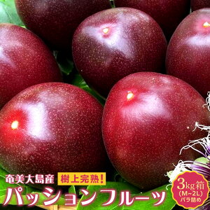 yӂ邳Ɣ[Łzystz哇 pbVt[c 3kg@iolj | pbVt[c ʕ ϔ 썑t[c Gߌ W[V[ tbV ʎ l  