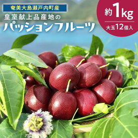 【ふるさと納税】【2026年発送】《皇室献上品産地のパッションフルーツ》奄美大島瀬戸内町産　大玉12個入り／約1kg | パッションフルーツ 果物 鹿児島県 奄美大島