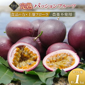【ふるさと納税】2027年発送【農薬不使用】奄美完熟パッションフルーツ 贈答用化粧箱入り（農家直送）数量限定 | 果物 化粧箱 南国フルーツ 季節限定 ジューシー フレッシュ 果実 詰合せ 鹿児島県 奄美大島