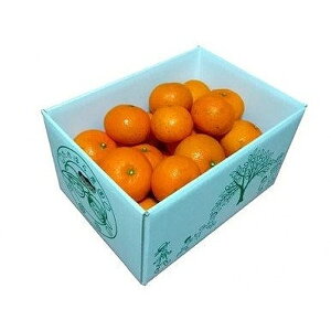 【ふるさと納税】【2026年発送分 先行受付】たんかん ご家庭用バラ詰め3kg×2箱【たけはら農園】 | 鹿児島県 鹿児島 瀬戸内町 九州 奄美大島 奄美 楽天ふるさと 納税 特産品 名産品 お取り寄せ