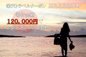yӂ邳Ɣ[Łz ȆΏێ{݂ŎgyVgxN[| tz120,000~