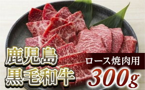 yӂ邳Ɣ[Łz[Xēp300g@јa(qY)ⓀA4`A5NX/[XE[X/~