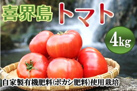 【ふるさと納税】【2025年1月から発送】『喜界島トマト』自家製有機肥料(ボカシ)使用栽培　4kg