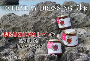 yӂ邳Ɣ[ŁzEg}gۂƎg EVERYDAY DRESSING 3{