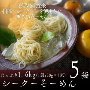 yӂ邳Ɣ[ŁzEݗkgp[߂ V[N[[߂ 5 v1.6kg ߂ \[ f E yY ԗi n Mtg Hi     Ԃ  