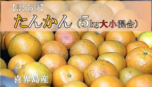 yӂ邳Ɣ[Łz󂠂@񂩂(5Kg召)@ʎy2026N2z