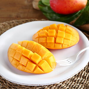 yӂ邳Ɣ[Łzyx15xȏz}S[(1KgA2`3)2026N7{`8{E①